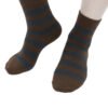 Calcetines Casuales de algodon, (Pack de 12 pares, 4 estilos)